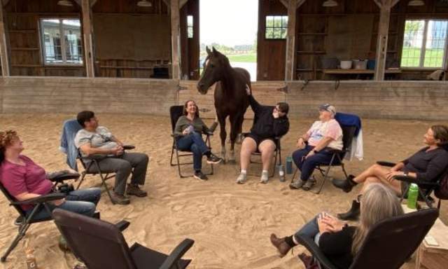 Feed Your Soul Gestalt Group