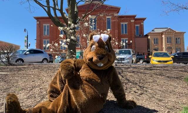 Easter Eggstravaganza Hunt