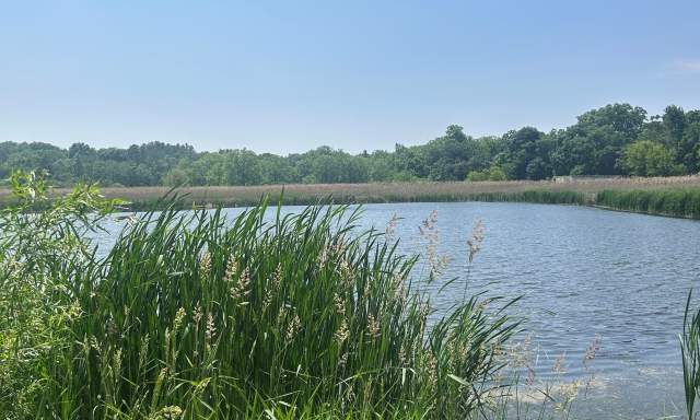 Dufield Pond Conservation Area