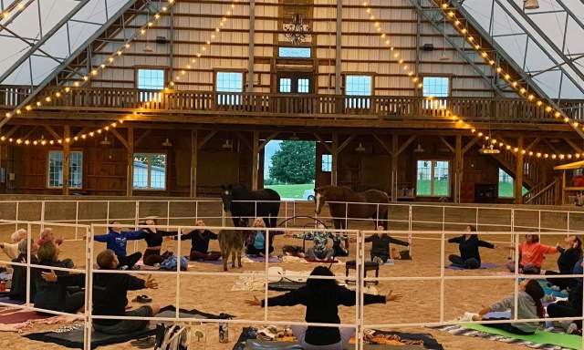 Horse, Yoga, Gong + Meditation