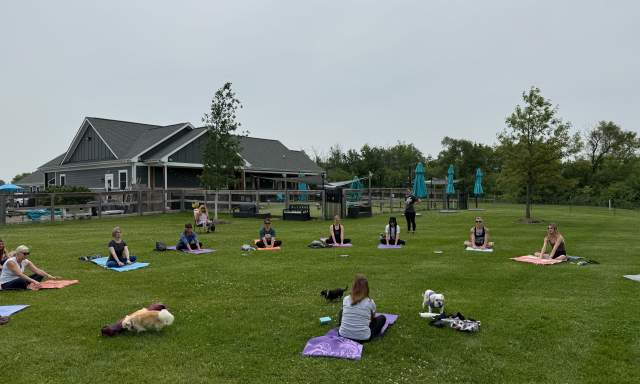 Outdoor Dog Yoga