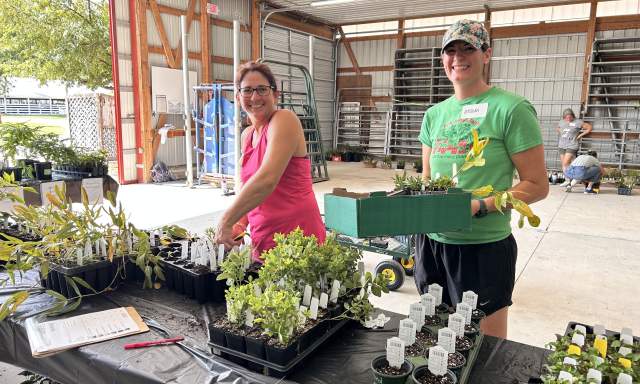 TLC's Fall Native Plant, Tree and Shrub Sale in Woodstock