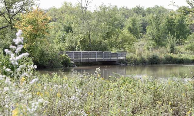 Brookdale Conservation Area