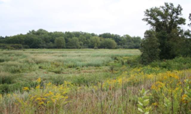 Kishwaukee Headwaters Conservation Area