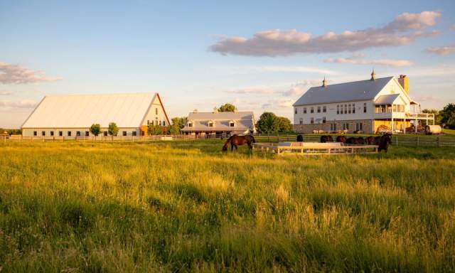 Yoga, Gong, and Horses at Soulful Prairies