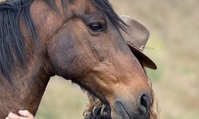 Informational Open House