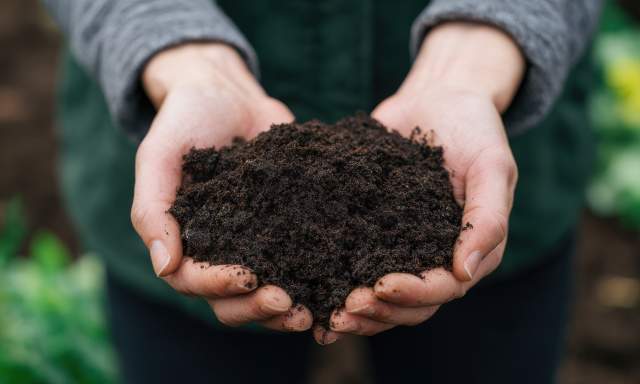Compost Giveaway