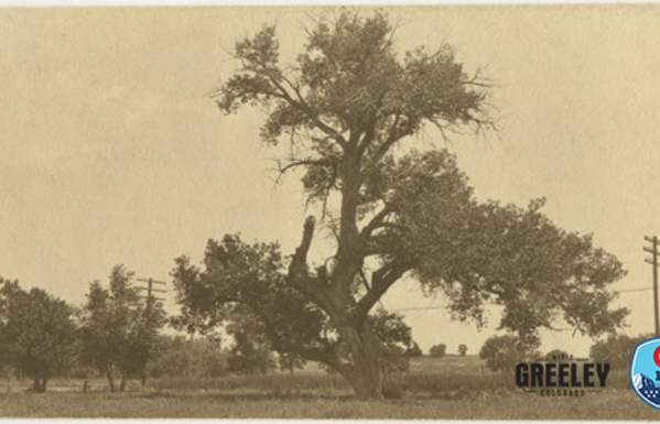 Greeley Stories: Remembering Shawsheen