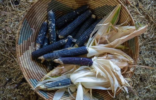 Blue Corn Monument