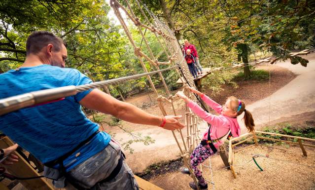 Go Ape