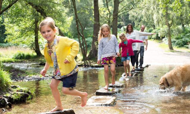 Cannock Chase Family Days Out family crosses stream stepping stones