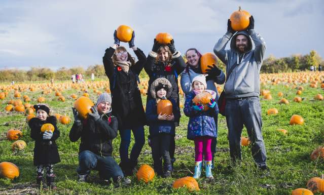 The Best Pumpkin Patches in Staffordshire 2025