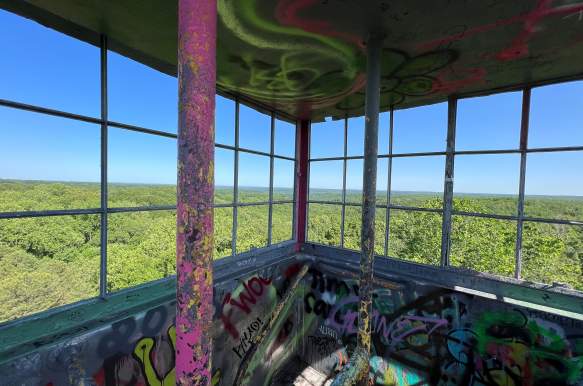 Go Climb A Fire Tower