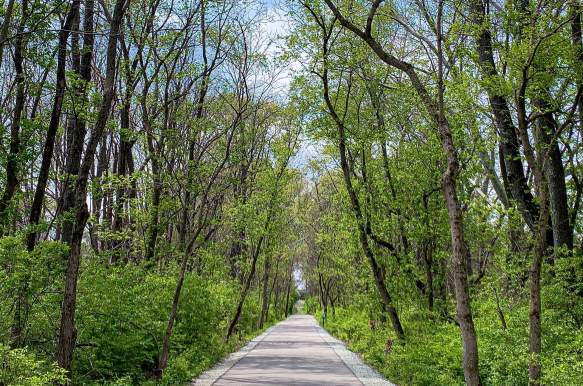 Bloomington's Best Outdoor Hidden Gems