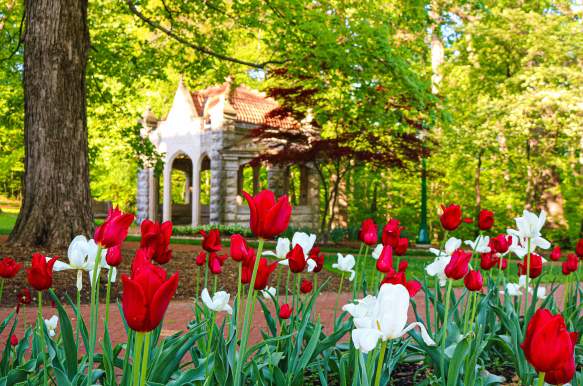 5 Reasons to Visit Bloomington This Spring
