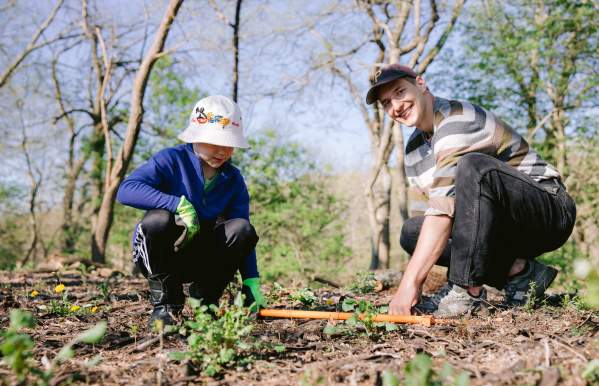 5 Ways to Go Green in Dublin, Ohio
