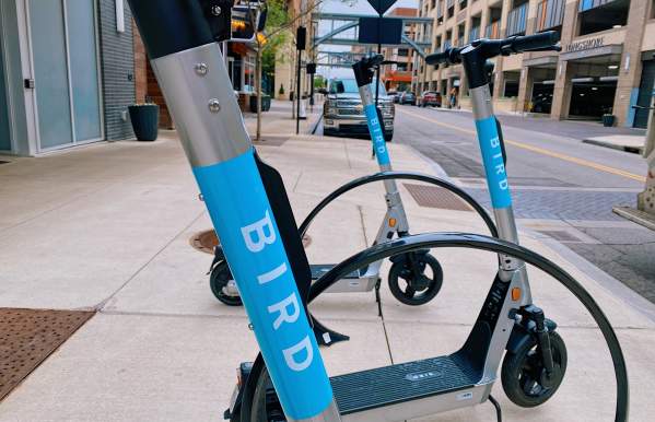 Bird Scooters