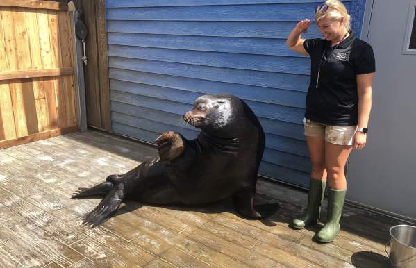 3 New Exhibits to Explore at the Columbus Zoo & Aquarium
