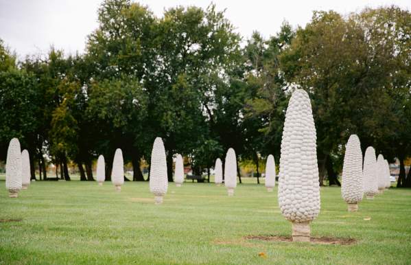 Rows of giant concrete corn sculptures in a field