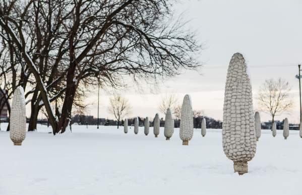 Field of Corn public art installation in the snow