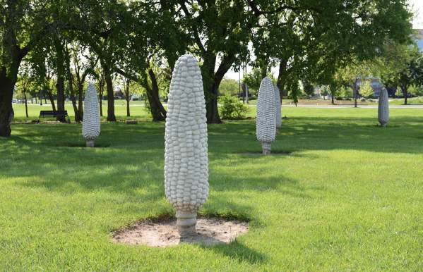 Six foot concrete statues of corn cobs at the Field of Corn public art installation.