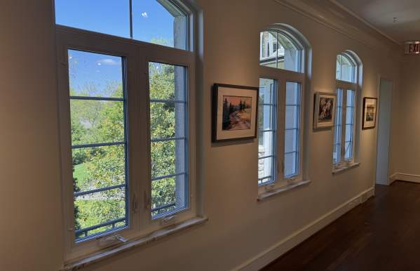 A Look Inside the Dublin Arts Council: Exhibits, History & Local Art