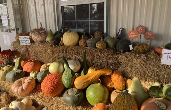 4 Farm Markets Near Dublin, Ohio