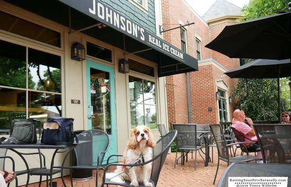 Johnsons - Raising Your Pets Naturally