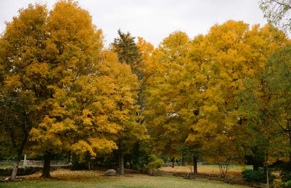 Your Perfect Fall Weekend in Dublin