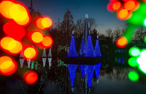Wildlights at the Columbus Zoo and Aquarium