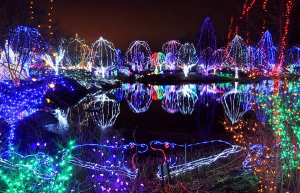 Wildlights at the Columbus Zoo
