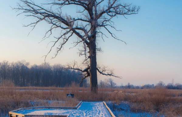 Glacier Ridge Metro Park Winter