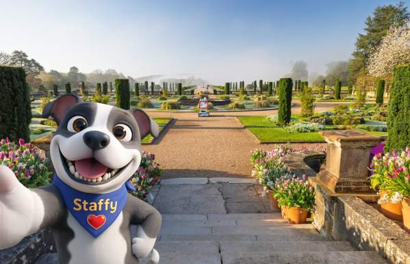 Summer Holidays in Staffordshire: Follow Staffy's Lead