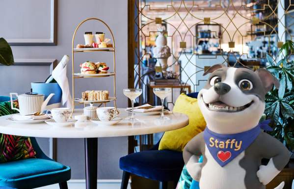 Staffy Goes to Tea... with a Creative Twist | Afternoon Tea Week in Staffordshire
