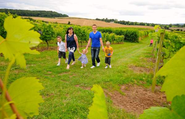 Family  walking  through  vineyard  field  holding  hands