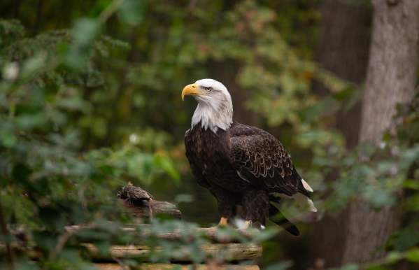 Military Family Days at the Zoo