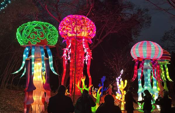 Columbus Zoo Lantern Festival