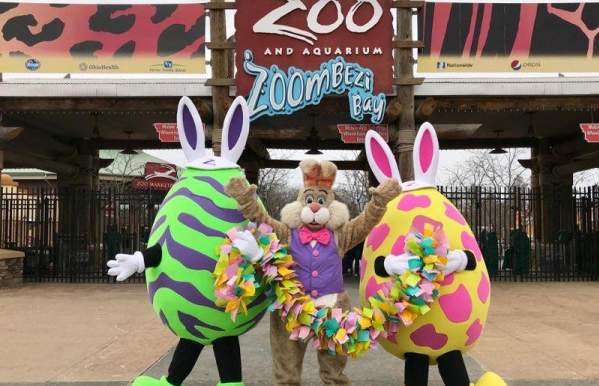Eggs, Paws and Claws