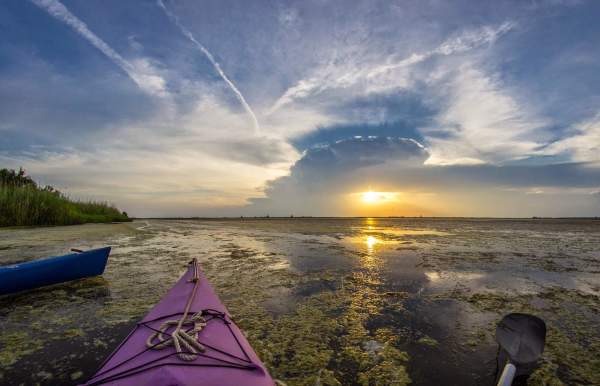 The Future of Travel: Ecotourism