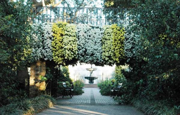 bridge with hanging mums on the sides