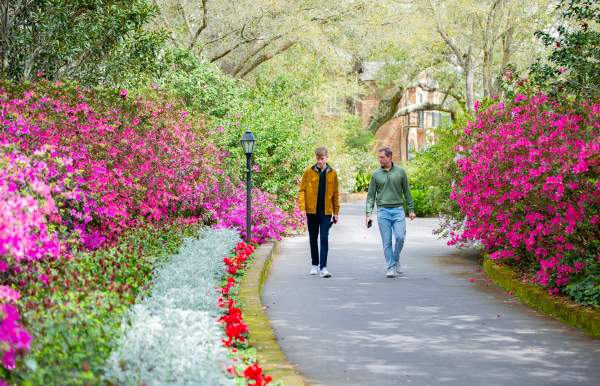Spring Is Blooming in Mobile