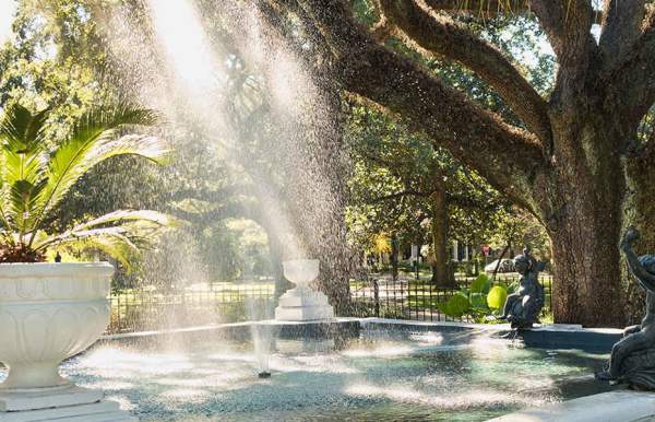 a sunlit park with trees in mobile alabama