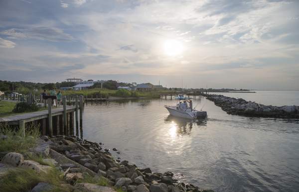 A Guide to Dauphin Island Activities