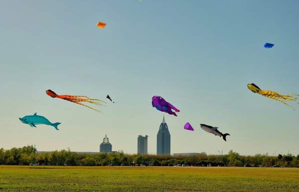 colorful kites flying with the city scape in the background
