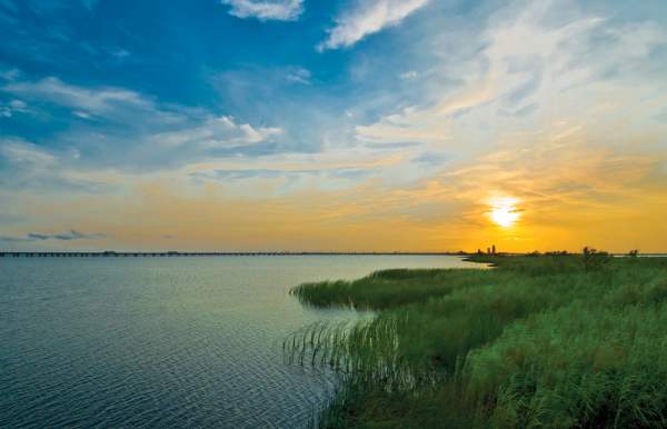Kick Back & Relax with a Vacation in Mobile