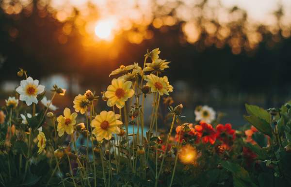 Easter Sunrise Service