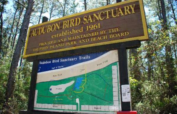 Audubon Bird Sanctuary