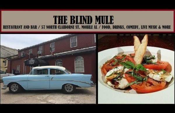 The Blind Mule
