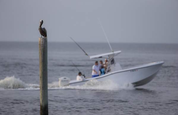 92nd Annual Alabama Deep Sea Fishing Rodeo