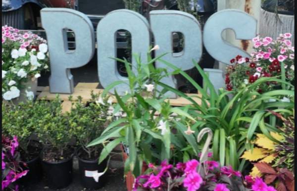 4th Annual Mother's Day Market at the Loop